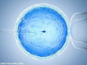 案例